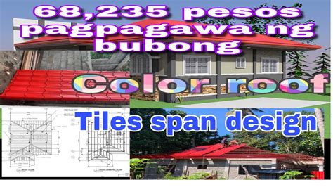 pintura ng bubong|Bubong para sa isang bahay (103 larawan): kung ano .